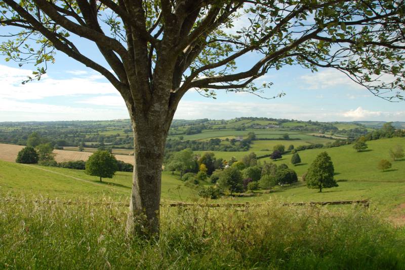 Campsites in Somerset The bestrated campsites in Somerset Cool Camping